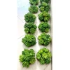 Phật thủ tươi Hà Nội - Giảm giá còn 105000đ. Mua 1 quả ưu đãi hỏa tốc 8