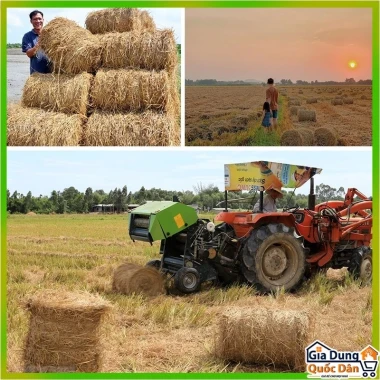 Rơm Cuộn Khô Đa Năng - Trang Trí, Thức Ăn Gia Súc, Kho Cá - Giá Tốt 260k 2
