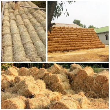 Rơm Cuộn Khô Đa Năng - Trang Trí, Thức Ăn Gia Súc, Kho Cá - Giá Tốt 260k 3
