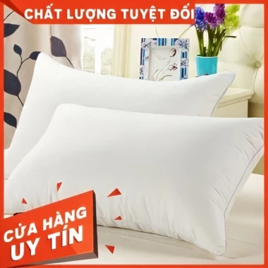 Ruột Gối Khách Sạn Hilton Cao Cấp 45x65cm Bông Trắng Mềm Mịn Giảm Giá 27K 9