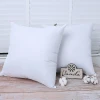 Ruột Gối Sofa Vuông Tựa Lưng Vanda - Tiết Kiệm 26% - Đủ Kích Thước Giá Rẻ 36000đ 2