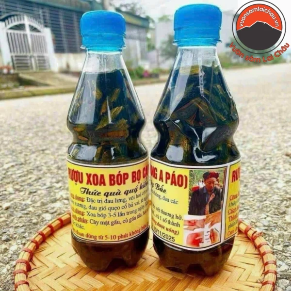 Hình ảnh sản phẩm Rượu thuốc xoa bóp bọ cạp Sapa gia truyền của ông Giàng A Páo, Dầu xoa bóp dùng cho đau nhức xương khớp, đau lưng