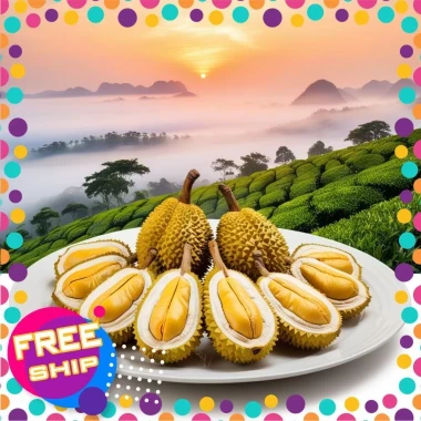 Sầu Riêng Sấy Thăng Hoa Đà Lạt - Giảm Giá Còn 99k - Ăn Vặt Thơm Ngon Tiện Lợi H2farm 7 Sầu Riêng Sấy Thăng Hoa Đà Lạt - Giảm Giá Còn 99k - Ăn Vặt Thơm Ngon Tiện Lợi H2farm 7
