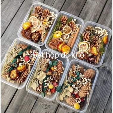 Set hộp hoa khô & trái cây khô chụp ảnh - 60.000đ, phù hợp cho cửa hàng Set hộp hoa khô & trái cây khô chụp ảnh - 60.000đ, phù hợp cho cửa hàng
