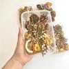 Set hộp hoa khô & trái cây khô chụp ảnh - 60.000đ, phù hợp cho cửa hàng 4