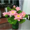 Set nguyên liệu hoa sen kẽm nhung handmade DIY trang trí nhà cửa giá rẻ chỉ 150k 7