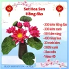 Set nguyên liệu hoa sen kẽm nhung handmade DIY trang trí nhà cửa giá rẻ chỉ 150k 13