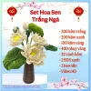 Set nguyên liệu hoa sen kẽm nhung handmade DIY trang trí nhà cửa giá rẻ chỉ 150k 14