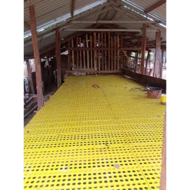 Tấm sàn nhựa nguyên sinh chuồng dê vịt của công ty bình thuận kt 1m x 50cm bao bền đẹp 3 Tấm sàn nhựa nguyên sinh chuồng dê vịt của công ty bình thuận kt 1m x 50cm bao bền đẹp 3