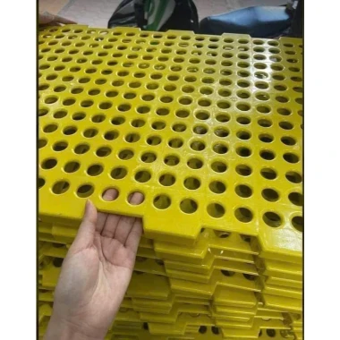 Tấm sàn nhựa nguyên sinh chuồng dê vịt của công ty bình thuận kt 1m x 50cm bao bền đẹp 5 Tấm sàn nhựa nguyên sinh chuồng dê vịt của công ty bình thuận kt 1m x 50cm bao bền đẹp 5