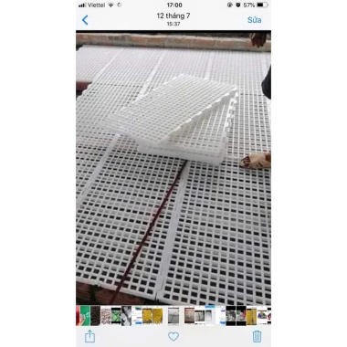 Tấm sàn nhựa nguyên sinh chuồng dê vịt của công ty bình thuận kt 1m x 50cm bao bền đẹp 6 Tấm sàn nhựa nguyên sinh chuồng dê vịt của công ty bình thuận kt 1m x 50cm bao bền đẹp 6