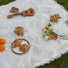 Thảm Cắm Trại Chống Ẩm Mùa Xuân 6V4L Giá Rẻ - Picnic & Đi Bộ Đường Dài 2