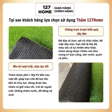Thảm Cỏ Nhựa Nhân Tạo 2cm Cao Cấp Trang Trí Tường Nhà Quán Cà Phê Nhà Hàng Tiệc Cưới ( CỎ 2CM 5-5) 3 Thảm Cỏ Nhựa Nhân Tạo 2cm Cao Cấp Trang Trí Tường Nhà Quán Cà Phê Nhà Hàng Tiệc Cưới ( CỎ 2CM 5-5) 3