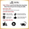 Thảm Cỏ Nhựa Nhân Tạo 2cm Cao Cấp Trang Trí Tường Nhà Quán Cà Phê Nhà Hàng Tiệc Cưới ( CỎ 2CM 5-5) 8