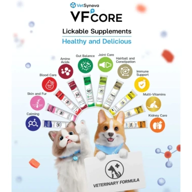 Thanh 12g Súp thưởng VFCore Feline Vitality - Vitamin tổng hợp cho chó mèo, giảm còn 21.000đ 5 Thanh 12g Súp thưởng VFCore Feline Vitality - Vitamin tổng hợp cho chó mèo, giảm còn 21.000đ 5