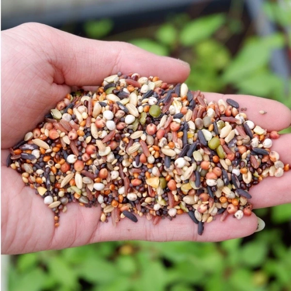 Hình ảnh sản phẩm Thức Ăn Chim Cu Gáy Ngũ Cốc 20 Loại Hạt - Dinh Dưỡng Cao, Giá 19.000 VNĐ