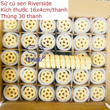 Thùng Lọc Sứ Củ Sen Cao Cấp MrBIO RIVERSIDE Cho Hồ Cá Cảnh - Giá Siêu Ưu Đãi 570k 3