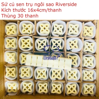 Thùng Lọc Sứ Củ Sen Cao Cấp MrBIO RIVERSIDE Cho Hồ Cá Cảnh - Giá Siêu Ưu Đãi 570k 4