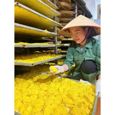 Tinh nghệ sữa ong chúa viên mật ong 5 Tinh nghệ sữa ong chúa viên mật ong 5