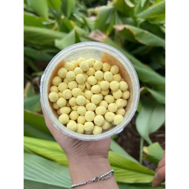 Tinh nghệ sữa ong chúa viên mật ong 6 Tinh nghệ sữa ong chúa viên mật ong 6