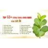 Trà Búp Ổi Mộc Tâm Giảm Cân, Khuyến Mãi 38.989đ - Hộp 60 Túi Lọc Tự Nhiên 6