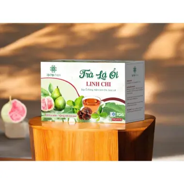 Trà Búp Ổi Rừng Sapa Giảm Cân, Tiểu Đường, Tiêu Chảy - 50 Túi Lọc Thảo Mộc Lý Gia Giá Tốt 5