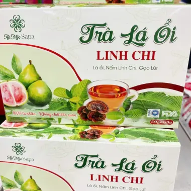 Trà Búp Ổi Rừng Sapa Giảm Cân, Tiểu Đường, Tiêu Chảy - 50 Túi Lọc Thảo Mộc Lý Gia Giá Tốt 6