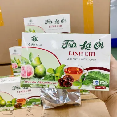 Trà Búp Ổi Rừng Sapa Giảm Cân, Tiểu Đường, Tiêu Chảy - 50 Túi Lọc Thảo Mộc Lý Gia Giá Tốt 8