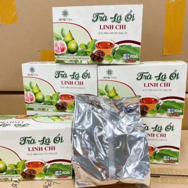 Trà Búp Ổi Rừng Sapa Giảm Cân, Tiểu Đường, Tiêu Chảy - 50 Túi Lọc Thảo Mộc Lý Gia Giá Tốt 9