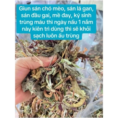 Trà Lá Nam Tẩy Giun Sán Chó Mèo - Giải pháp tự nhiên, an toàn, giá chỉ 130.000₫ 6
