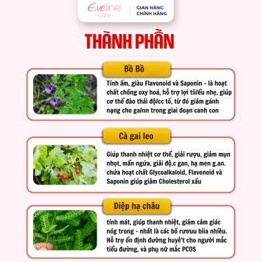 Trà MAXUP - Trà Thảo Dược Hỗ Trợ Thải Độ/cc Ga/nn, Mát Ga/nn, Trà Detox Thanh Lọc Cơ Thể | Hộp 30 Gói 2