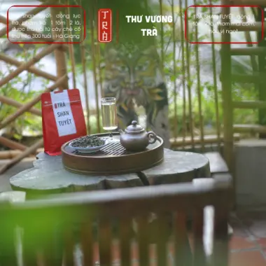 Trà Shan Tuyết cổ thụ Hà Giang 300 tuổi - Trà 1 tôm 1 lá tươi ngon giá chỉ 120k 7
