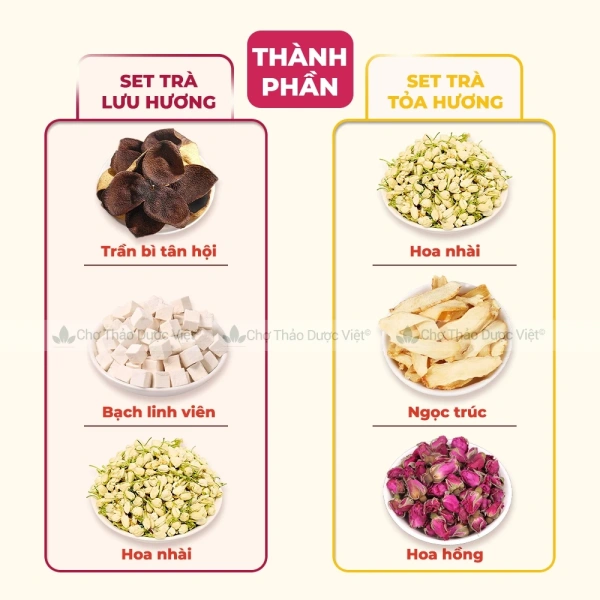 Khám phá các thảo dược trong trà thảo mộc lưu hương thơm và vai trò của chúng trong việc cân bằng mùi cơ thể