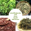 Trà túi lọc lá nam 5 vị (Lá ổi, Gạo lứt, Giảo cổ lam, Lá sen) - 30 gói, Giá chỉ 49.800₫ 4