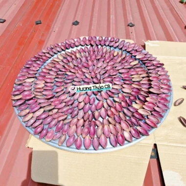 Trám Đen Phơi Một Nắng Cao Bằng - Giảm 22% Chỉ 180.000đ/kg Trám Đen Tươi Ngon 2 Trám Đen Phơi Một Nắng Cao Bằng - Giảm 22% Chỉ 180.000đ/kg Trám Đen Tươi Ngon 2
