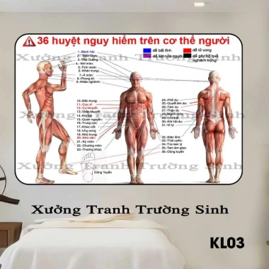 Tranh Dán Tường Diện Chẩn Bùi Quốc Châu - Phác Đồ Huyệt Đạo & Hệ Kinh Lạc Giá Tốt 55760đ 8