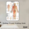Tranh Dán Tường Diện Chẩn Bùi Quốc Châu - Phác Đồ Huyệt Đạo & Hệ Kinh Lạc Giá Tốt 55760đ 9