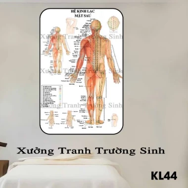 Tranh Dán Tường Diện Chẩn Bùi Quốc Châu - Phác Đồ Huyệt Đạo & Hệ Kinh Lạc Giá Tốt 55760đ 9