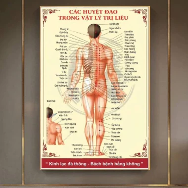 Tranh Dán Tường Diện Chẩn Bùi Quốc Châu - Phác Đồ Huyệt Đạo & Hệ Kinh Lạc Giá Tốt 55760đ 13