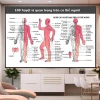 Tranh Dán Tường Diện Chẩn Bùi Quốc Châu - Phác Đồ Huyệt Đạo & Hệ Kinh Lạc Giá Tốt 55760đ 14