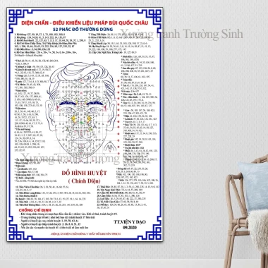 Tranh Dán Tường Diện Chẩn Bùi Quốc Châu - Phác Đồ Huyệt Đạo & Hệ Kinh Lạc Giá Tốt 55760đ 16
