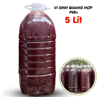 Vi Sinh PSB Quang Hợp 5L cho Ao Cá và Bể Koi - Tăng Oxy, Lọc Nước, Giảm Giá 110k 2