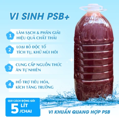 Vi Sinh PSB Quang Hợp 5L cho Ao Cá và Bể Koi - Tăng Oxy, Lọc Nước, Giảm Giá 110k 4