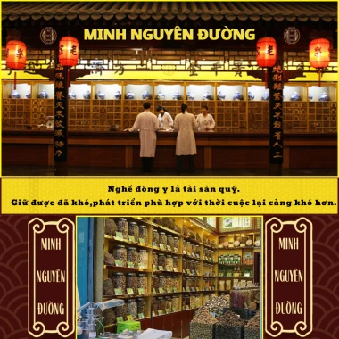 Viên Giải Độc Gan Cà Gai Leo Xạ Đen - Mát Gan, Hạ Mỡ Máu, Men Gan Cao chỉ 249k! 4 Viên Giải Độc Gan Cà Gai Leo Xạ Đen - Mát Gan, Hạ Mỡ Máu, Men Gan Cao chỉ 249k! 4
