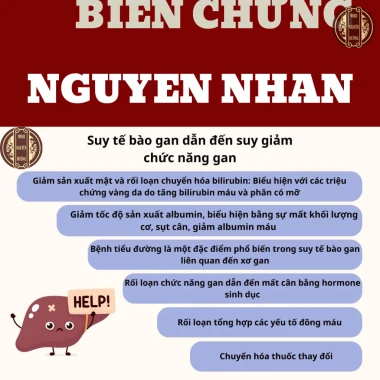 Viên Giải Độc Gan Cà Gai Leo Xạ Đen - Mát Gan, Hạ Mỡ Máu, Men Gan Cao chỉ 249k! 6 Viên Giải Độc Gan Cà Gai Leo Xạ Đen - Mát Gan, Hạ Mỡ Máu, Men Gan Cao chỉ 249k! 6