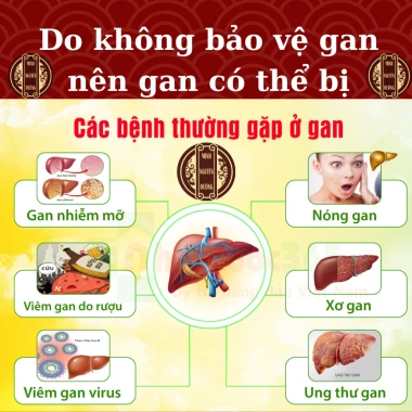 Viên Giải Độc Gan Cà Gai Leo Xạ Đen - Mát Gan, Hạ Mỡ Máu, Men Gan Cao chỉ 249k! 8 Viên Giải Độc Gan Cà Gai Leo Xạ Đen - Mát Gan, Hạ Mỡ Máu, Men Gan Cao chỉ 249k! 8