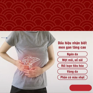 Viên Giải Độc Gan Cà Gai Leo Xạ Đen - Mát Gan, Hạ Mỡ Máu, Men Gan Cao chỉ 249k! 9 Viên Giải Độc Gan Cà Gai Leo Xạ Đen - Mát Gan, Hạ Mỡ Máu, Men Gan Cao chỉ 249k! 9