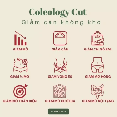 Viên uống hỗ trợ giảm cân Foodology Coleology Cut Pro 60 viên 30 ngày Giúp Eo thon, Thải độc, Kiểm soát cân nặng - ninis