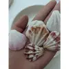 Vỏ Sò Kim Cương Trang Trí Vẽ Tranh Thủ Công - Giảm 21% Chỉ 17000đ/Lúc 3