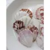 Vỏ Sò Kim Cương Trang Trí Vẽ Tranh Thủ Công - Giảm 21% Chỉ 17000đ/Lúc 4